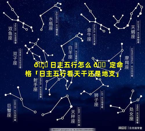 🦟 日主五行怎么 🐠 定命格「日主五行看天干还是地支」